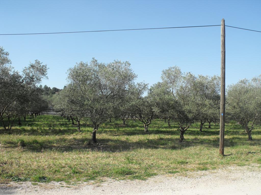 Appartamento Domaine De La Marseillaise La Crau Camera foto