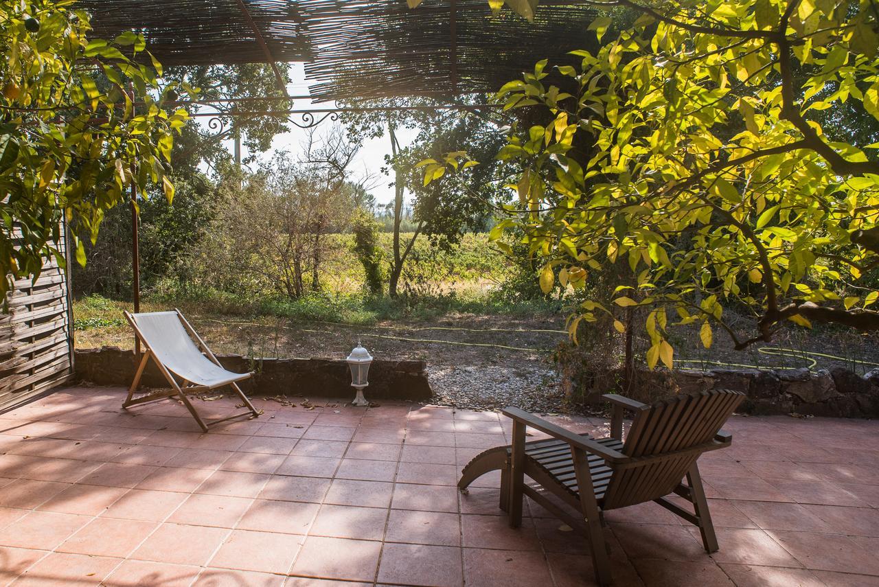Appartamento Domaine De La Marseillaise La Crau Esterno foto